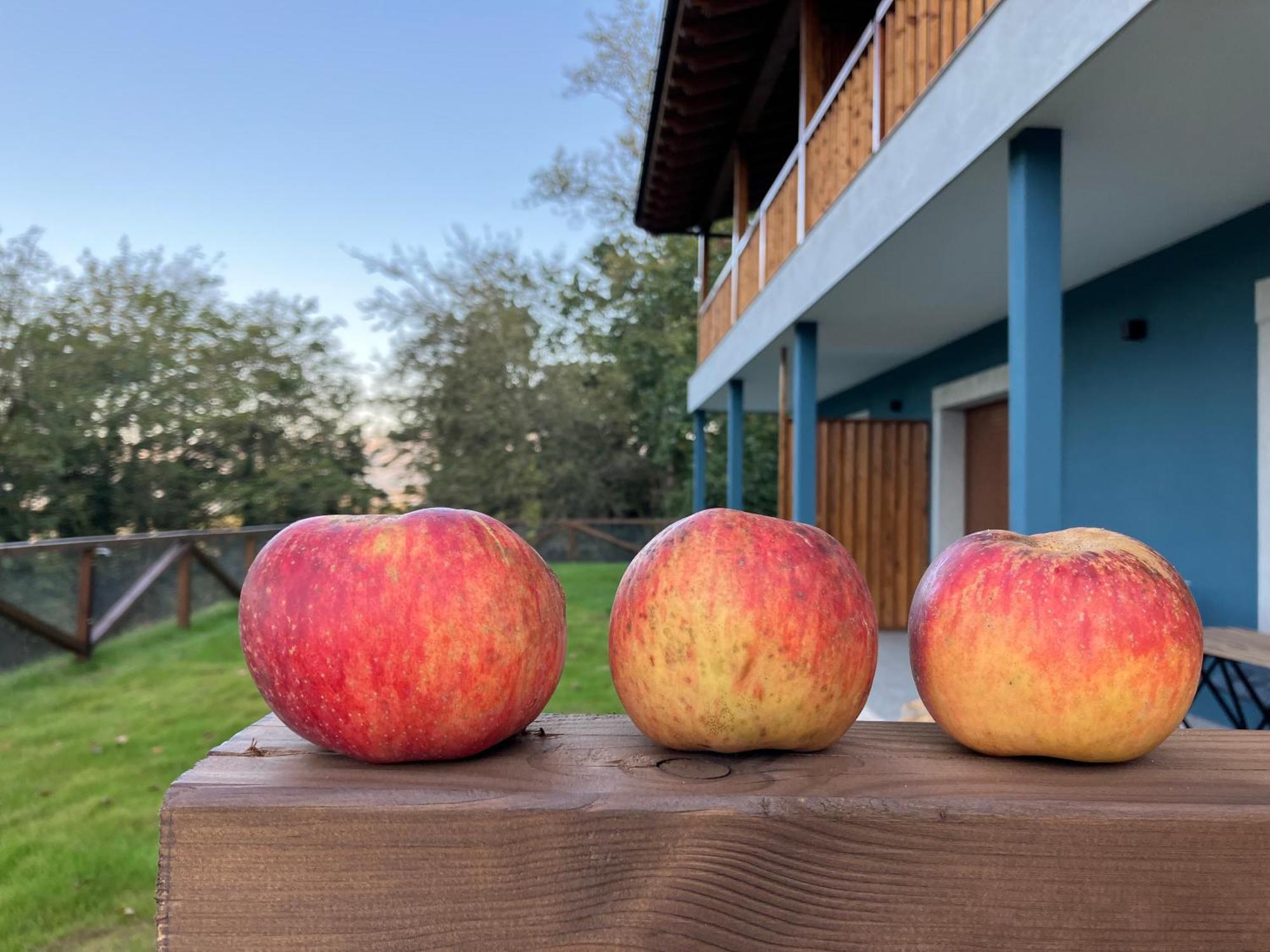 Apartamentos Montes Vindios Onís Екстериор снимка